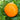 Tomato - Orange Queen