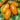 Tomato - Orange Roma