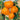Tomato - Oxheart Orange