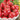 Tomato - Oxheart Pink