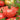 Tomato - Red Peach