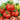 Tomato - Stuffer Red