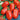 Tomato - Roma