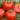 Tomato - Rutgers VF