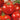 Tomato - St. Pierre