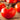 Tomato - Sub Arctic Plenty