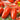 Tomato - Super Italian Paste