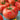 Tomato - Super Sioux