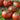 Tomato - Tasmanian Chocolate