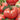 Tomato - Tastemaster Imp. F1