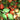Tomato - Thai Pink Egg