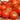 Tomato - Thessaloniki