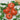 Tomato - Watermelon Beefsteak