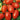 Tomato - Window Box - Roma