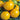 Tomato - Yellow Perfection