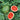 Watermelon, Diploid - Grandeur F1