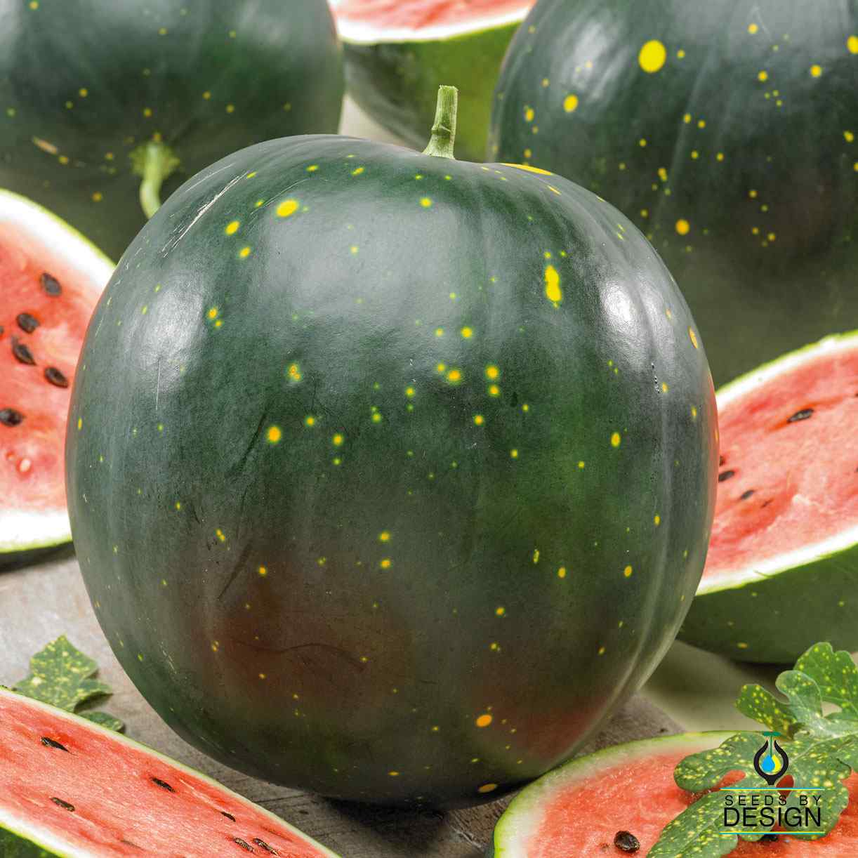 Watermelon - Moon & Stars Red – SeedsbyDesign.com