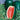 Watermelon - Peacock Improved