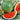 Watermelon, Triploid - Triple Play F1