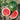 Watermelon, Triploid - Triple Star F1
