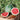 Watermelon, Triploid - Triple Sweet F1