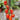 Tomato - Mini Marzano F1