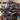 Basil - Purple Dark Opal (Organic)
