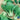Cabbage, Pak Choi - White Stem (Organic)
