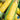 Corn - Double Standard (Organic)