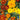 Marigold - Starfire Mix (Organic)