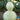 Gourd - Bottle (Organic)