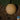 Melon - Honey Dew Orange Flesh (Organic)
