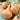 Onion, Short Day - Texas Early Grano 502 (Organic)