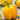 Pepper, Sweet - Golden Cal Wonder (Organic)
