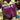 Pepper, Sweet - Purple Beauty (Organic)