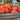 Pumpkin - Cinderella (Organic)