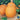 Pumpkin - Jack O'Lantern (Organic)
