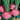 Radish - Purple Plum (Organic)