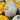 Squash, Winter - Sweet Keeper (Organic)
