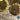 Sunflower - Mammoth Grey Stripe (Organic)