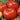 Tomato - Brandywine Red - Potato Leaf (Organic)