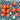 Tomato - Chadwick Cherry (Organic)