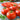 Tomato - Dakota Sport (Organic)