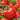 Tomato - Delicious (Organic)
