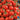 Tomato - Fox Cherry (Organic)