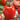 Tomato - Micado Violetter (Organic)