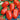 Tomato - Roma (Organic)