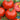 Tomato - Rutgers VF (Organic)