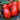 Tomato - San Marzano Indeterminate (Organic)