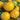 Tomato - Yellow Perfection (Organic)